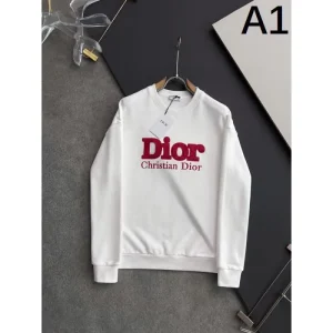2024FW DIOR ディオール リラックスした雰囲気に プルオーバー 商品画像 1