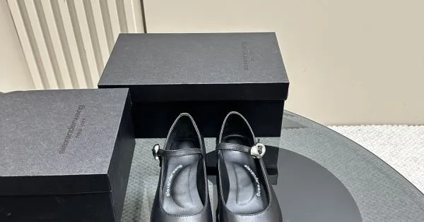 2026 今期大歓迎 ALEXANDER WANG アレキサンダーワン レディース ハイヒール 商品画像 11