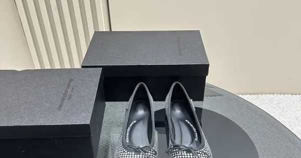 2026 夏季大活躍 ALEXANDER WANG アレキサンダーワン レディース ハイヒール 商品画像 11