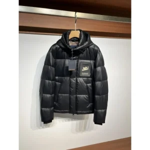 2024FW LOUIS VUITTON ルイヴィトン 最安値人気品 メンズ用 ダウンジャケット 商品画像 1