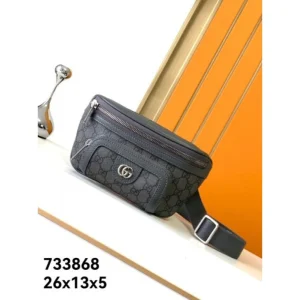 2024FW ウエストバッグ GUCCI グッチ 最新シーズンがやってきた 商品画像 1