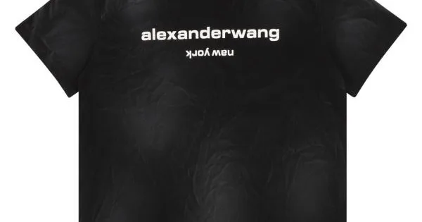 2026 大人っぽい質感 ALEXANDER WANG アレキサンダーワン メンズ用 半袖Tシャツ 商品画像 11