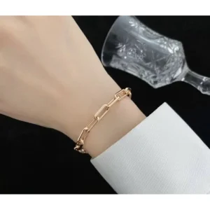 CARTIER カルティエ 夏のおでかけにもぴったり 2026 ブレスレット 商品画像 1