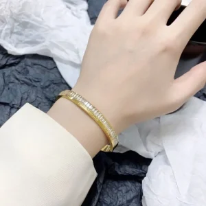 日本限定モデル 2026 ブレスレット LOUIS VUITTON ルイヴィトン 商品画像 1