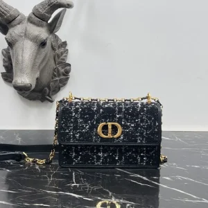 数量限定奇跡の入荷 2026 ショルダーバッグ DIOR ディオール 商品画像 1