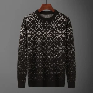 2025FW セーター LOEWE ロエベ 秋冬シーズンにぴったりのアイテム 商品画像 1