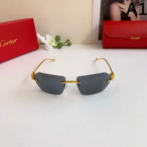 2025FW サングラス CARTIER カルティエ 落ち着いた大人の雰囲気を演出する一品 商品画像 1